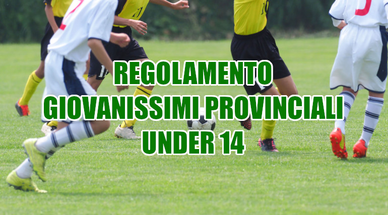 Regolamento-giovanissimi-provinciali-Padova-Under-14-stagione-2024-25-girone-sperimentale
